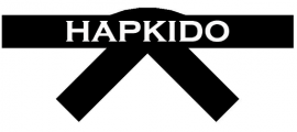 hapkido-video